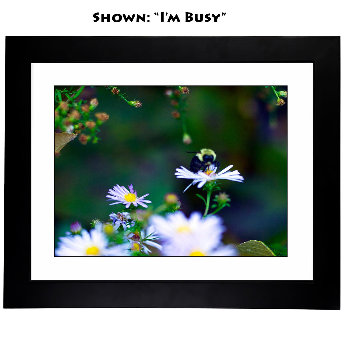 Framed Art Prints - From a Secret Paradise Garden - Little Buddies -6