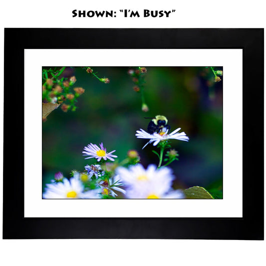 Framed Art Prints - From a Secret Paradise Garden - Little Buddies -6