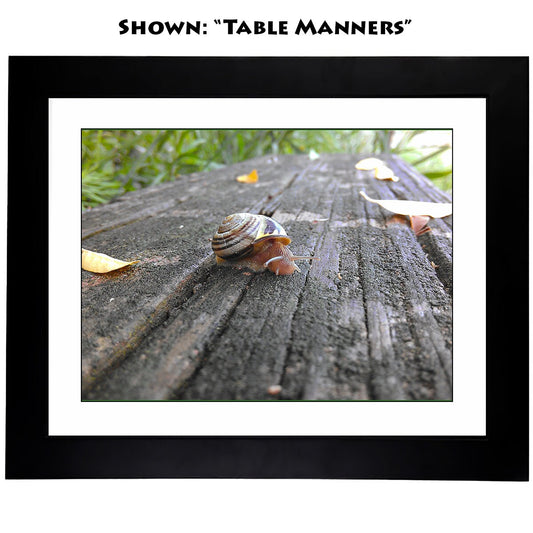 Framed Art Prints - From a Secret Paradise Garden