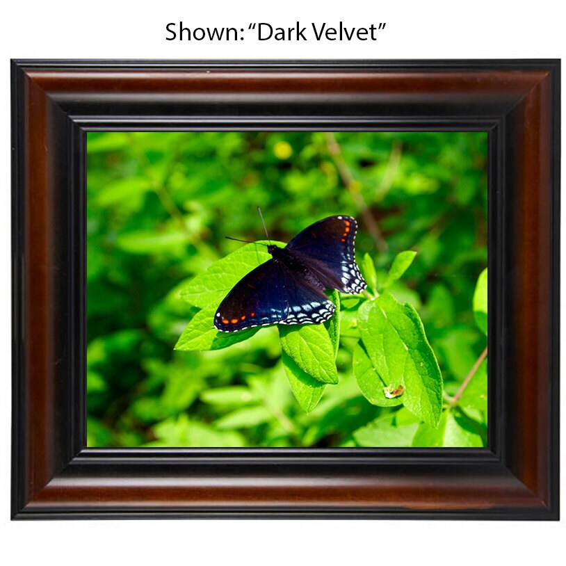 Butterfly Art Print photography - From a Secret Paradise - Brown Wall Frames
