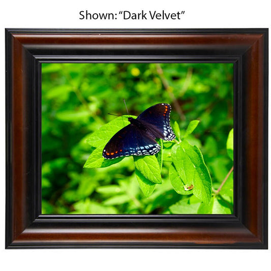 Butterfly Art Print photography - From a Secret Paradise - Brown Wall Frames