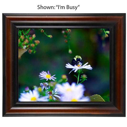 Art Photography - Bees From a Secret Paradise - Cherry Framed Art
