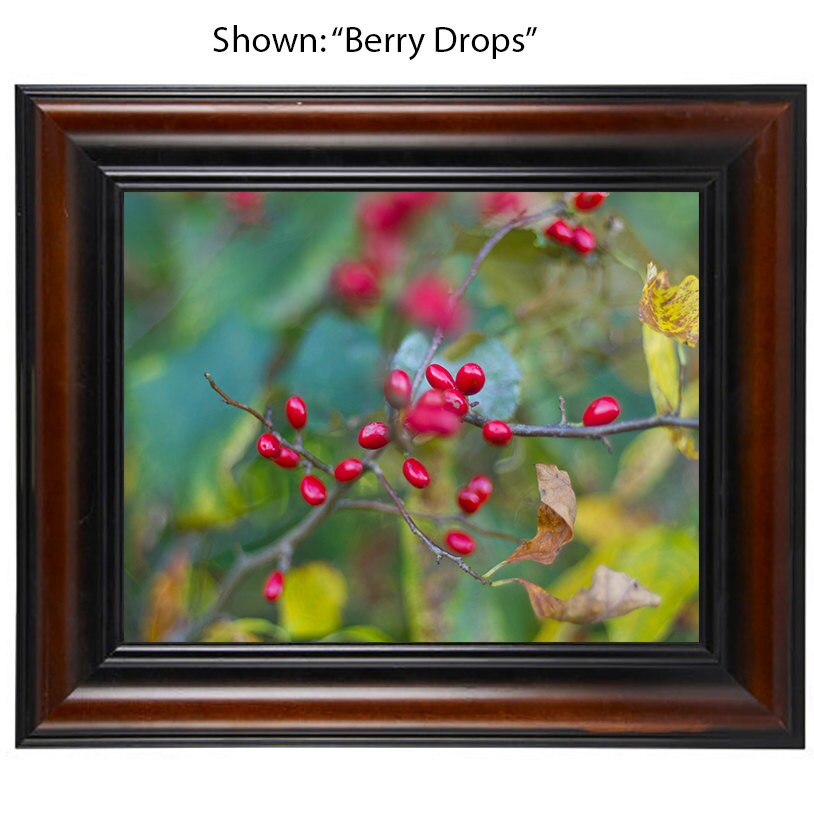 Art Photography - From a Secret Paradise - Cherry Framed Art - Babies 2