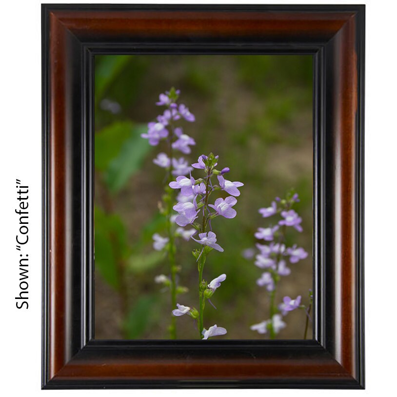 Botanical Art Photography - From a Secret Paradise - Cherry Framed Art