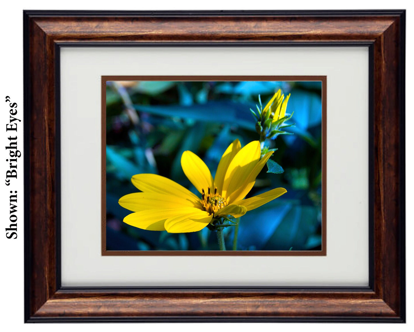 Fine Art Photography - Hardwood Wall Framed Art - Secret Paradise5