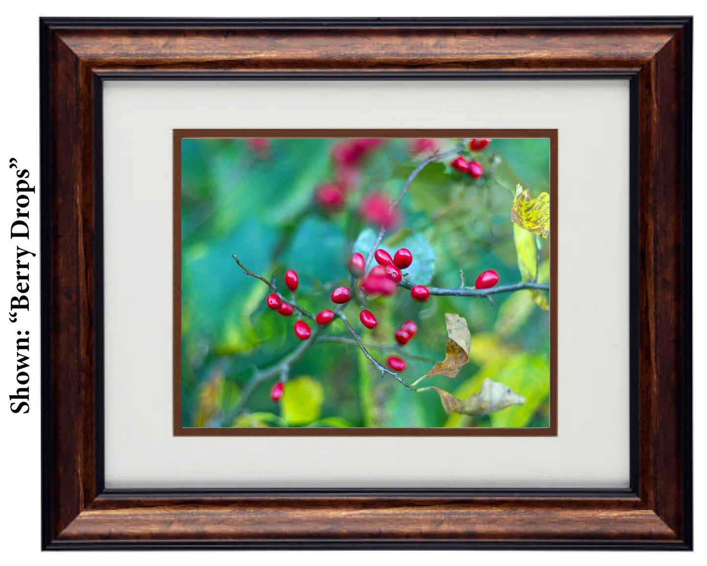 Fine Art Photography - Hardwood Wall Framed Art - Secret Paradise1