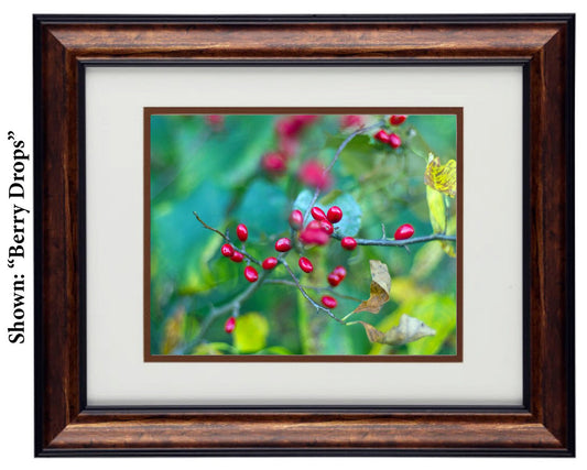 Fine Art Photography - Hardwood Wall Framed Art - Secret Paradise1