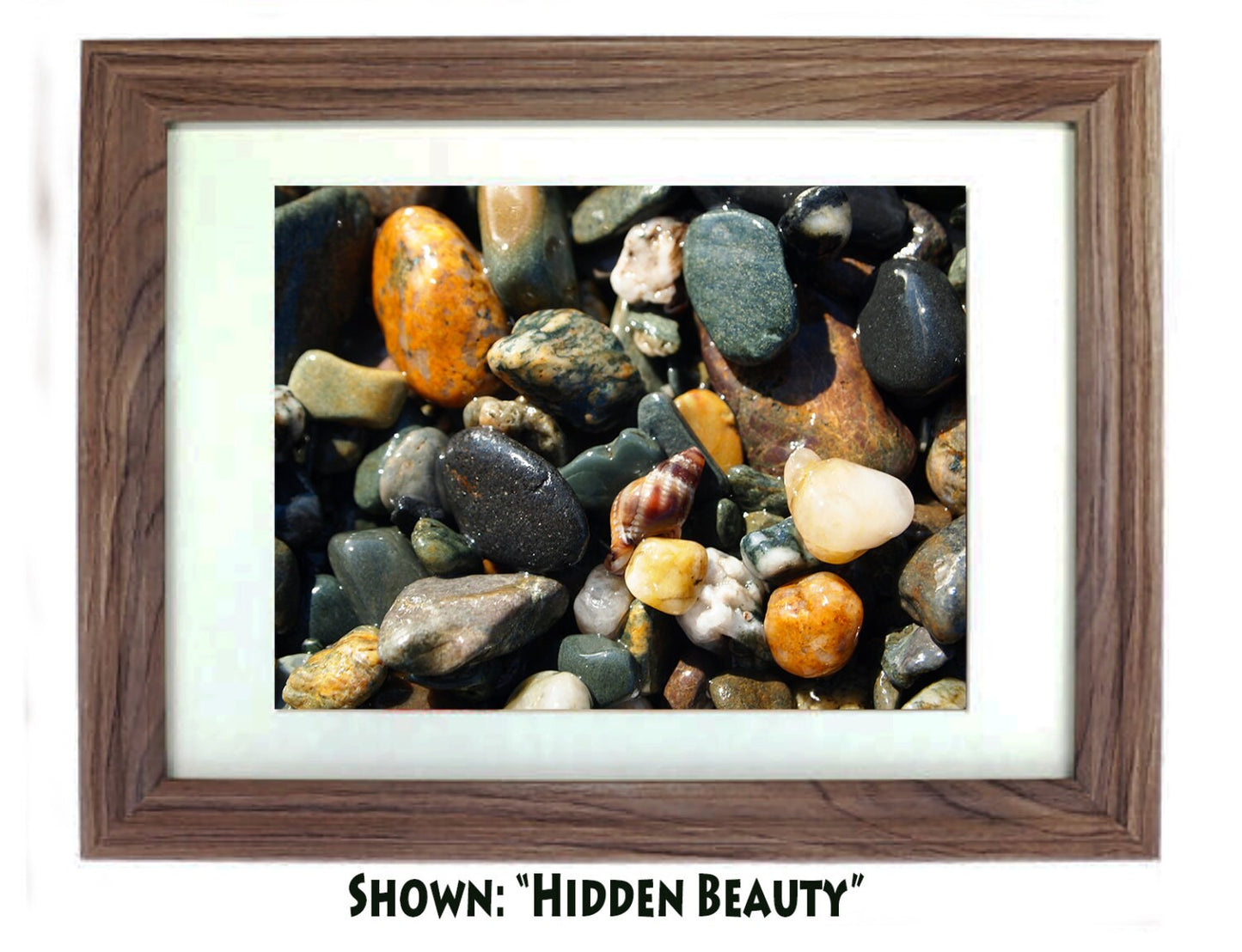 Art Prints - From a Secret Paradise - Driftwood Beach Wall Frame