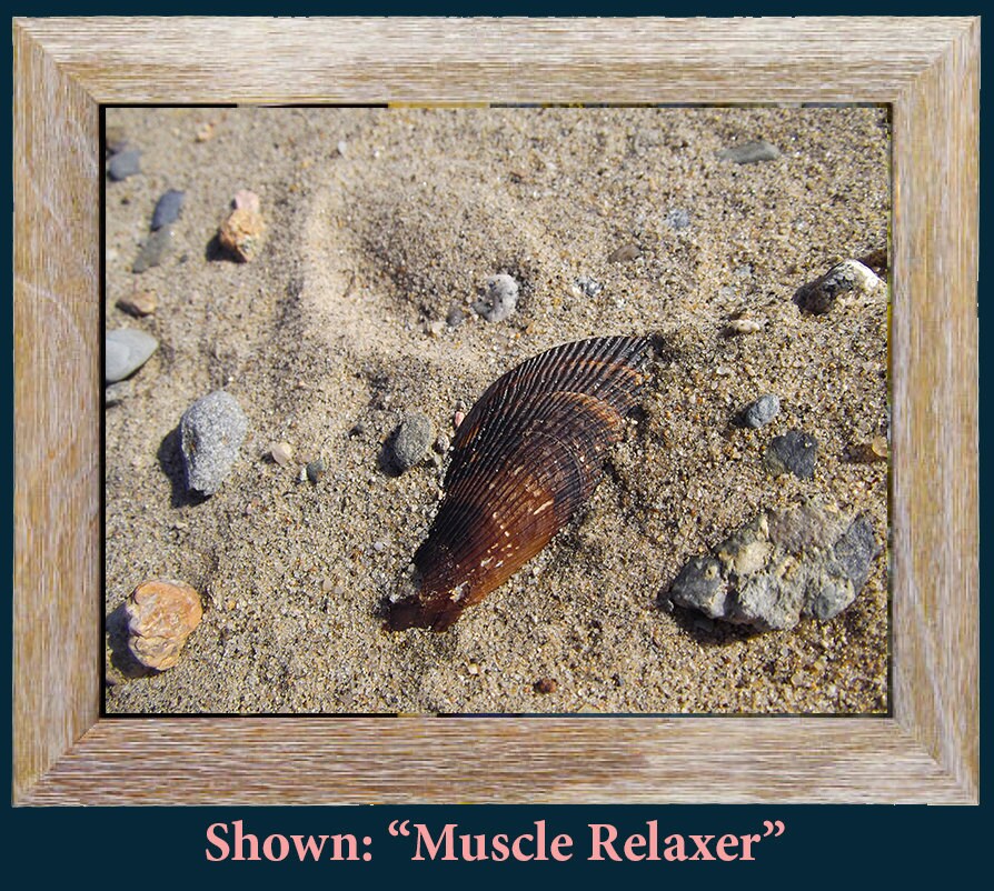 Framed Art Prints - From a Secret Paradise - Barnwood Beach Wall Frame